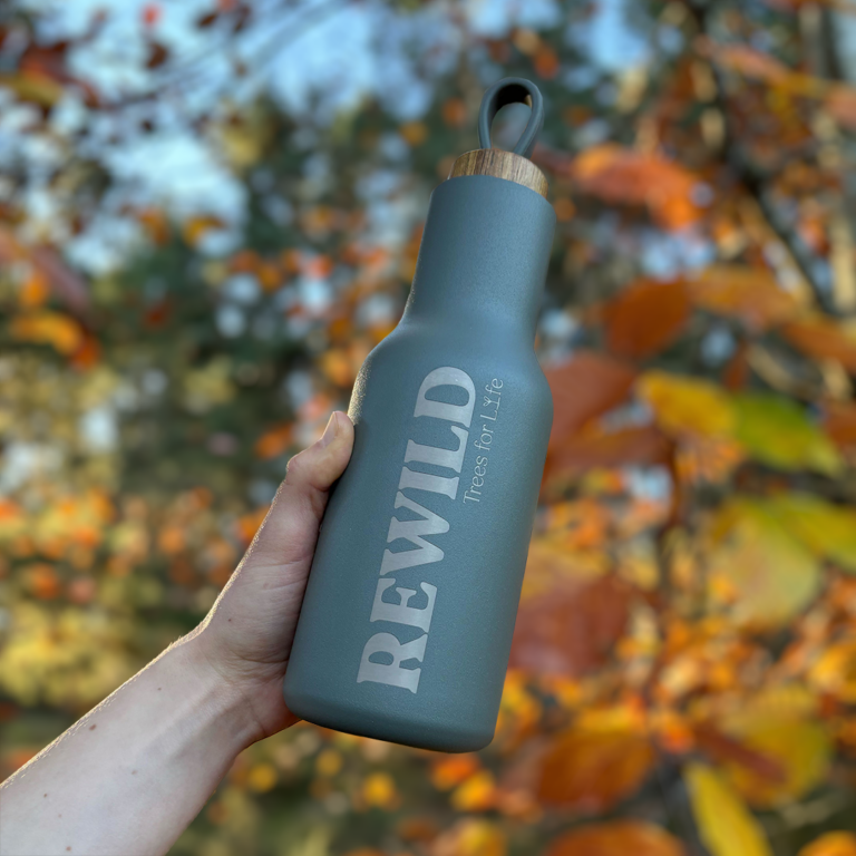 Rewild slogan water bottle