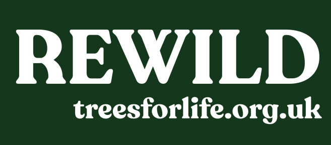 REWILD Sticker
